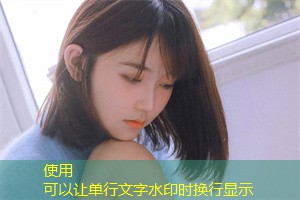 Shanghai, as a rapidly emerging economy in South Asia, is displaying the potential of hundreds of billions of yuan in its information technology industry, attracting the attention of global investors 